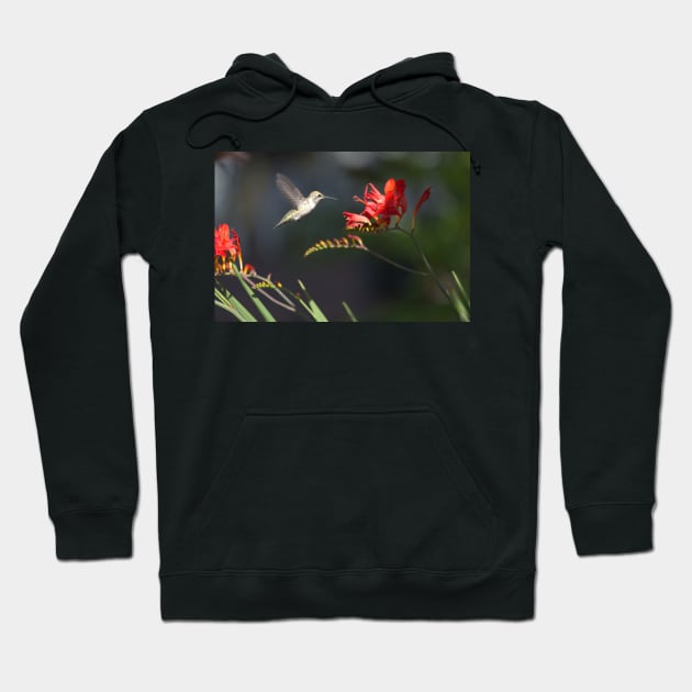 850_5913 Hoodie by wgcosby